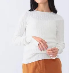 Demi-Luxe BEAMS ミニケーブルプルオーバーニット F ホワイト