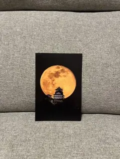 Item thumbnail for item 974cfb0a-0173-458d-9e0a-12df55303453