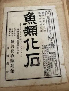 魚(リコプテラ科) 化石 景品類 - メルカリ