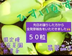 青虫畑様 リクエスト 2点 まとめ商品