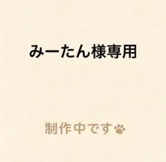みーたん様専用