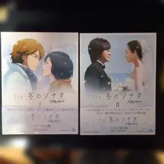 アニメ 冬のソナタ ノーカット完全版 DVD-BOX I+II 全巻 セット - メルカリ