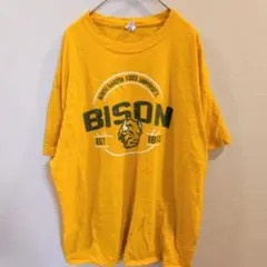 ポートアンドカンパニー カレッジロゴ 半袖 Tシャツ XL 黄 綿