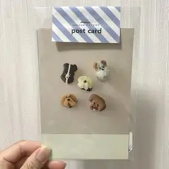 maison terrier ポストカード セット