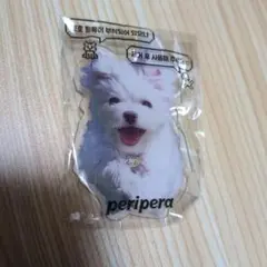 ペリペラ　マルチーズ　スマホグリップ　ノベルティ