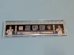 大谷翔平・新垣勇人選手応援大使グッズ　定規