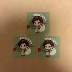 しんたろー 高田村PUS まとめ売り - メルカリ