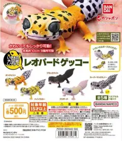 いきもの大図鑑レプティ レオパードゲッコー 全5種類 コンプ ガチャ ②