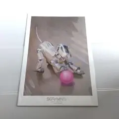 空山基個展 Sorayama 光•透明•反射展 TOKYO A3ポスター 展示会 - メルカリ