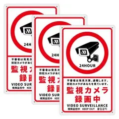 Item thumbnail for item 48157076-b0e7-4578-b30e-3baa21aa0b2f