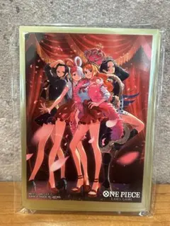 【即日発送】ヒロインズエディション スペシャルセット　【限定】スリーブ