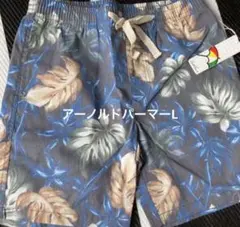 E71☆新品☆アーノルドパーマー☆水着☆Lサイズ☆