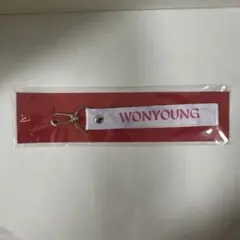 IVE WONYOUNG ネームタグキーホルダー DIVE JAPAN限定