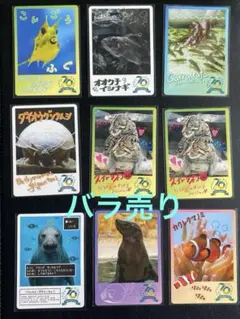 バラ売り100円】鳥羽水族館 コレクションカード（とレカ） - メルカリ