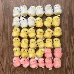 ぴよりーな　1号　ぬいぐるみ ぴより～なオフィシャルサイト｜株式会社ひよこのおかげ｜ぴより〜な1