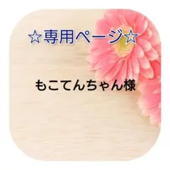 もこてんちゃん♡様専用ページ/宛名シール100枚×2