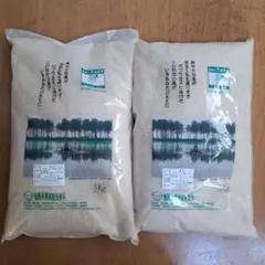 おまけ増量 新潟こしひかり 5kg×2 10kg - メルカリ