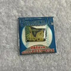 中日スポーツ　オリジナルマンスリーピンズ