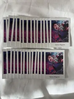 あんスタ ぱしゃっつ vol6 action 南雲鉄虎