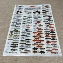 Item thumbnail for item 807b75ee-9ea8-408b-a2b7-d8c77aada950