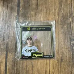 阪神タイガース 湯浅選手グッズ
