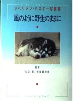 シベリアン・ハスキー写真集 風のように野生のままに
