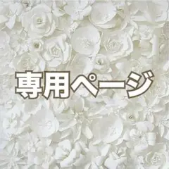 まぃさま専用ページ