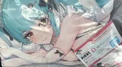 Item thumbnail for item 5fbd3722-68d0-41d1-a231-b0cc40394170