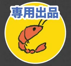 専用出品