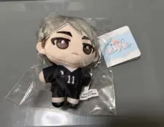 ハイキュー　ぬいパル　宮治