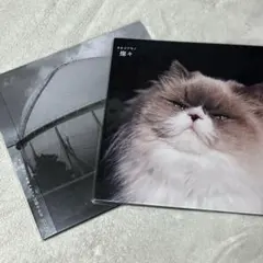 カネコアヤノ　燦々 レコード　激レア カネコアヤノ レコード 燦々 重量盤 LP