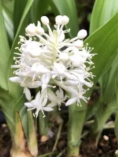 メル47456様 リクエスト 3点 まとめ商品