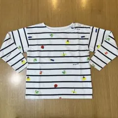 INSECT COLLECTION 昆虫 ボーダー Tシャツ Lサイズ 120のサムネイル