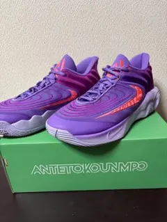 【美品中古】Nike Giannis Immortality4 EP(28cm)