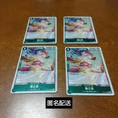 菊之丞 4枚セット