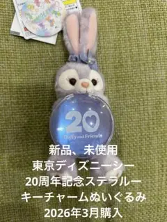 新品、タグ付き東京ディズニーシー20周年記念ステラルーキーチャームぬいぐるみ