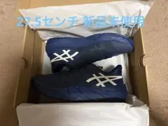 アンプレアルスlow2