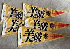 Item thumbnail for item 01efa348-6be7-45c0-b3cd-27131adff5ea