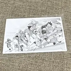 ハイキュー 10th クロニクル 思い出スナップフォトカード 烏野 集合 春高