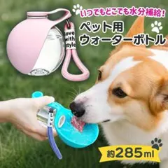 개와 고양이 물병, 휴대가 간편함, 야외 산책, 수분 공급 용품, 분홍색