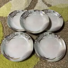 ✨綺麗✨花模様の皿 5枚セット まとめ売り