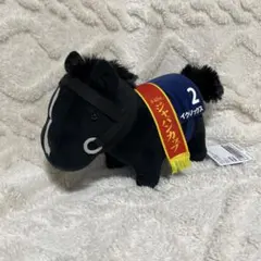 サラブレッドコレクション mb