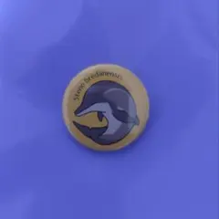 Item thumbnail for item 1ff532c2-e284-40e1-881d-d3178a9be650