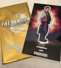 EXILE THE REASON SHOKICHI アクリルスタンド