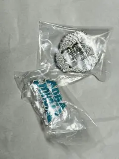 ハイキュー！！ 高校モチーフピンバッジ 梟谷学園 青葉城西