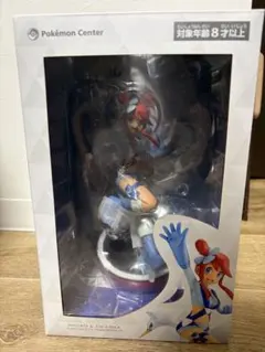 ポケモンセンター フウロとスワンナ フィギュア（開封品）