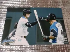 大谷翔平 2015 ハイライトフォト 日本ハム 球団公式写真 No.4 - メルカリ