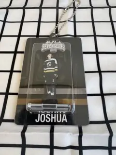 セブチ SEVENTEEN HOME 2025 アクリルキーリング ジョシュア