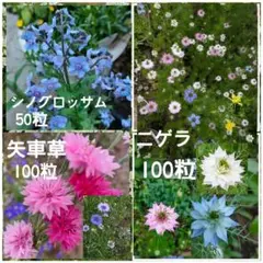 モイモイ子様 リクエスト 2点 まとめ商品