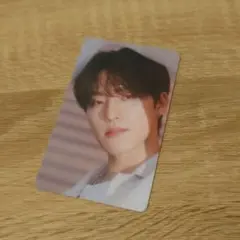 【SEVENTEEN】ハイブインサイト 特典 ディノ DINO